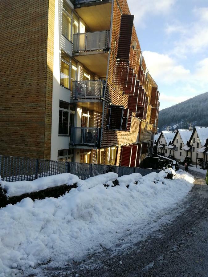 Rodinny Apartman Harrachov 606 Екстериор снимка
